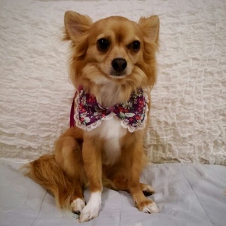 �J��������