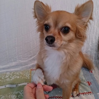 �K�����傤����