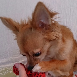 �K��(��)�B