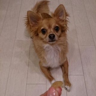 ���������A