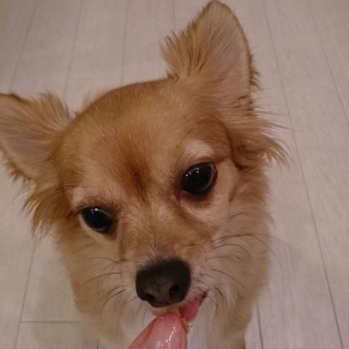 �����オ��@