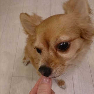 �����オ��A