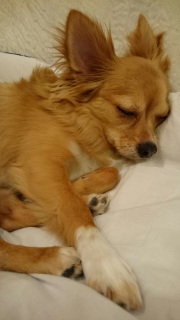 �����̎e�L�O��