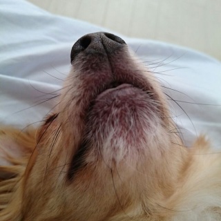 どアップ