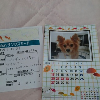 �W���̃g���~���O