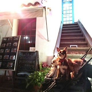 ���y���l�ł�����