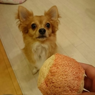 ��т̕�����