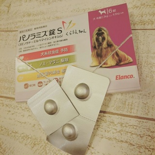 �W���̃p�m���~�X����
