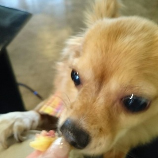 �����オ��