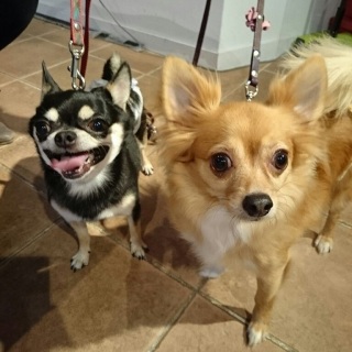 �A������