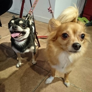 ������
