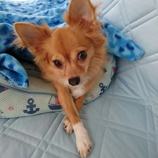 おはよ