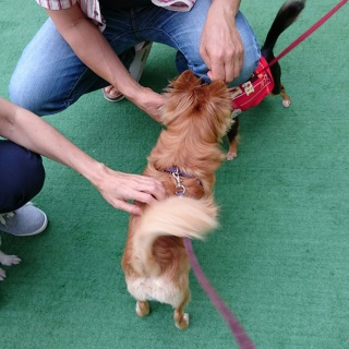 �y���������ˁ�