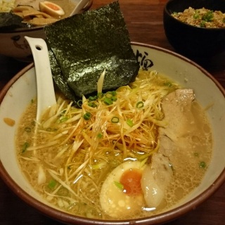 #���_�� �l�M���[����