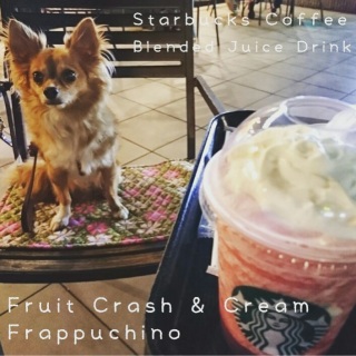 #�t���[�c�N���b�V���N���[���t���y�`�[�m