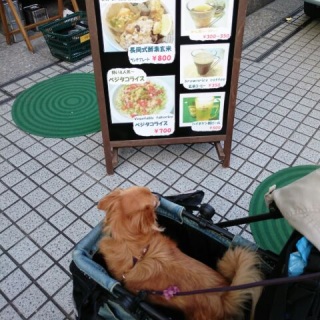 �C�ɂȂ邨�X