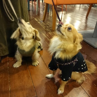 素敵な笑顔