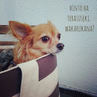 �ǁ[�����H