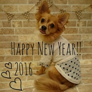 #��������pic 2016