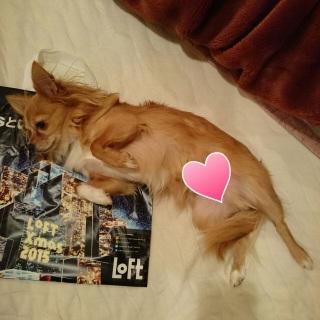 �S����