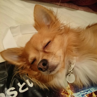�Q���������c
