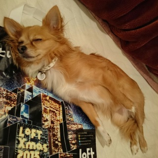 �}�W�Q
