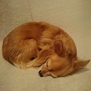まん丸