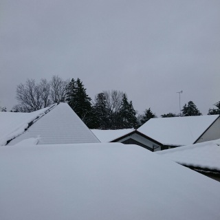 #初雪
