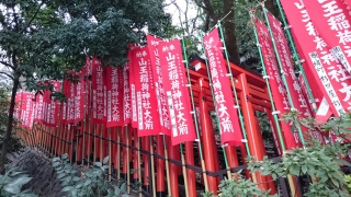 #千本鳥居 下から撮ってみる。