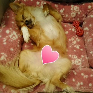 �Q�x�Q�̂���������