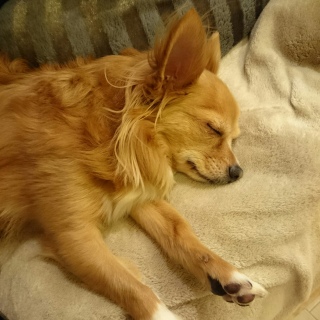 �J���C�C�����