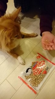 ���āE�������E�ӂ�