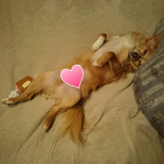 �B������N����������B