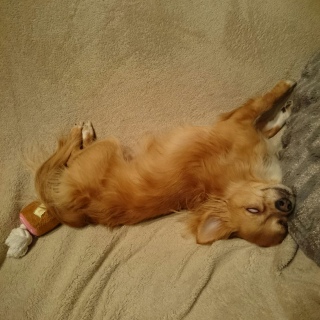 �z���[