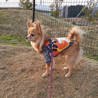 凛々しい横顔