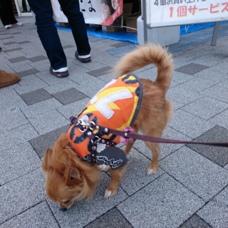 「おこたま」待ち