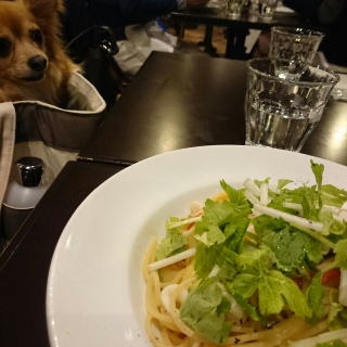 くぅちゃんとパスタ