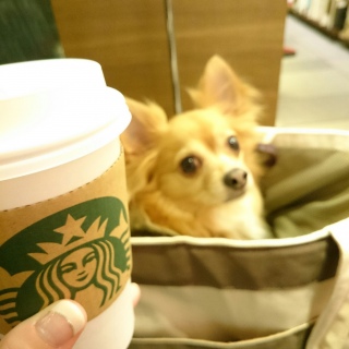 �s���g�c