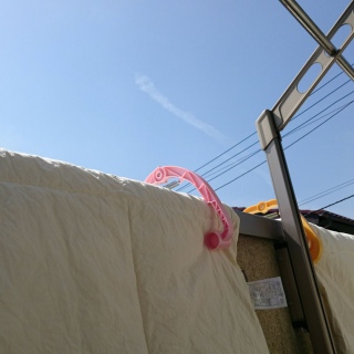 洗濯日和