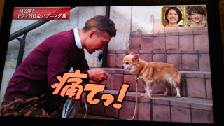 �v���Ԃ�� #���`������ƌĂ΂���