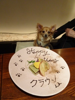�J�����ڐ�