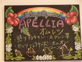 Today's Special Omelet