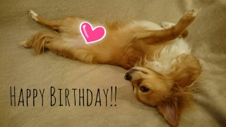 Happy Birthday ���������