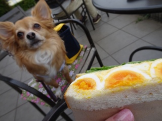 ください。