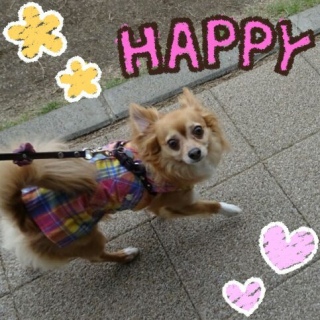 �ˁA���������(*�L��`*)