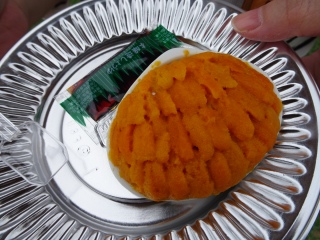 #���ɊL�Ă�