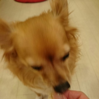 ���V�����V��