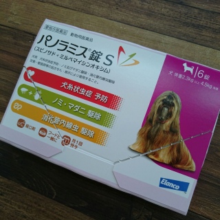 �V���̃p�m���~�X����