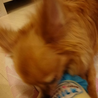 �V������������?