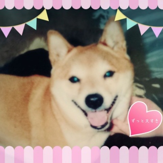 MEINICHI